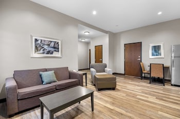 Standard Room, 1 King Bed, Non Smoking, Kitchenette (Walk-in Shower;with Sofabed)
