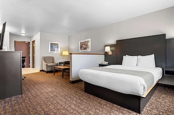 Standard Room, 1 King Bed with Sofa bed, Non Smoking, Refrigerator & Microwave (with Sofabed)