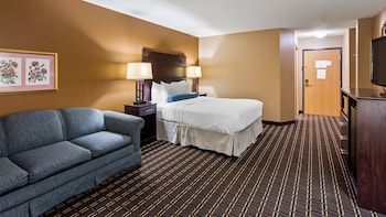 Standard Room, 1 King Bed, Non Smoking, Refrigerator & Microwave (Larger Room;with Sofabed)