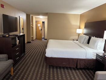 Standard Room, 1 King Bed, Accessible, Refrigerator & Microwave (with Sofabed)