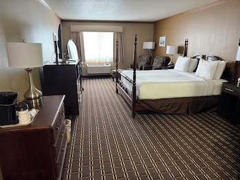 Standard Room, 1 King Bed, Non Smoking, Jetted Tub (Theme Room)