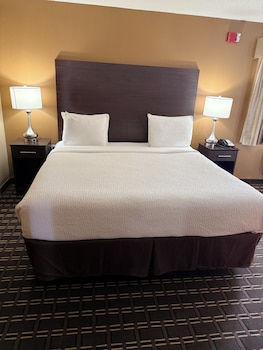 Suite, 1 King Bed, Non Smoking, Jetted Tub (with Sofabed)