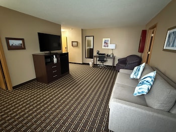 Suite, 1 King Bed, Non Smoking, Refrigerator & Microwave (Theme Room;with Sofabed)