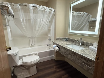 Standard Room, 1 King Bed, Non Smoking, Refrigerator & Microwave (Larger Room;with Sofabed)