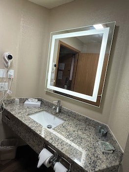 Standard Room, 1 King Bed, Non Smoking, Refrigerator & Microwave (Larger Room;with Sofabed)