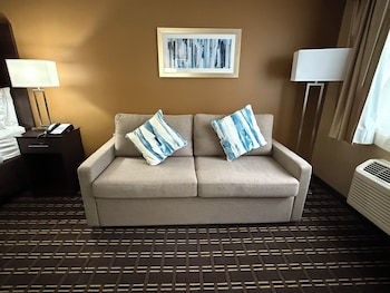 Standard Room, 1 King Bed, Accessible, Refrigerator & Microwave (with Sofabed)