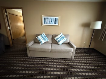 Suite, 1 King Bed, Non Smoking, Refrigerator & Microwave (Theme Room;with Sofabed)