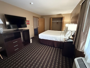 Suite, 1 King Bed, Non Smoking, Refrigerator & Microwave (Theme Room;with Sofabed)
