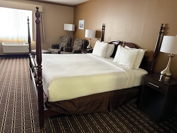 Standard Room, 1 King Bed, Non Smoking, Jetted Tub (Theme Room)