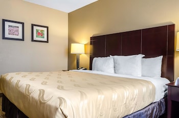 Room, 1 King Bed, Accessible, Non Smoking