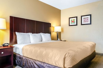 Room, 1 King Bed with Sofa bed, Non Smoking