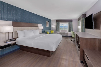 Room, 1 King Bed, Accessible, Non Smoking (Mobility, Roll-In Shower)