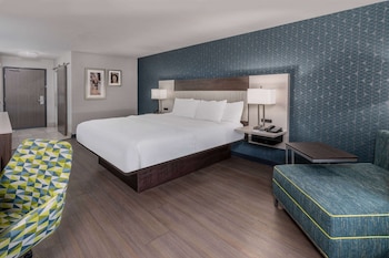 Room, 1 King Bed, Accessible, Non Smoking (Mobility, Roll-In Shower)