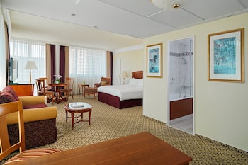 Studio Suite, 1 King Bed with Sofa bed, City View, Corner (Corner)
