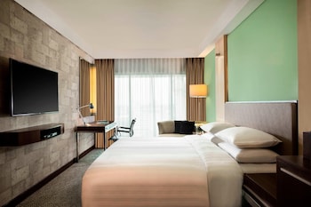 Room, 1 King Bed