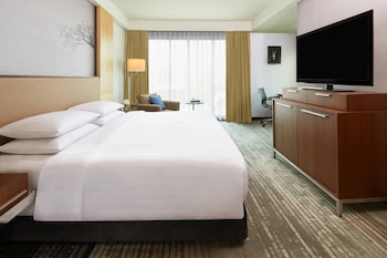 Room, 1 King Bed