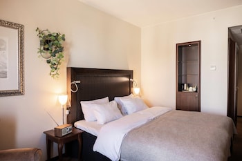 Standard Room, 1 Double Bed