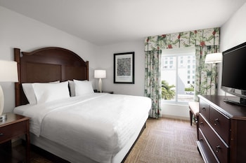 Standard Room, 1 King Bed, Accessible, Non Smoking (Roll-in Shower)