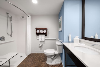 Standard Room, 1 King Bed, Accessible, Non Smoking (Roll-in Shower)
