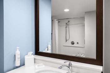 Standard Room, 1 King Bed, Accessible, Non Smoking (Roll-in Shower)