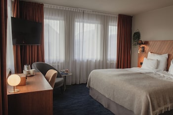 Superior Room, 1 Double Bed