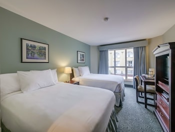 Standard Double Room, 2 Double Beds (Not Pet-Friendly)