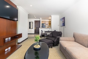 Executive Studio Suite, 1 King Bed, Kitchen