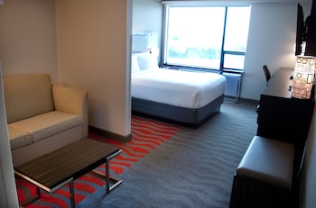Suite, 1 Queen Bed with Sofa bed