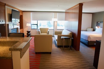 Suite, 1 King Bed with Sofa bed