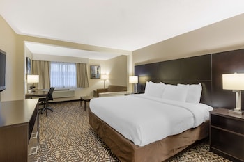 Standard Room, 1 King Bed, Non Smoking, Refrigerator & Microwave
