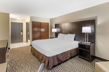 Standard Room, 1 King Bed, Accessible, Bathtub
