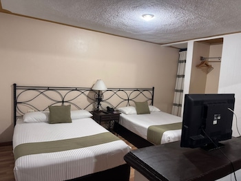 Room (Dog Friendly)