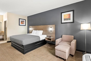 Suite, 1 King Bed, Smoking (Efficiency)