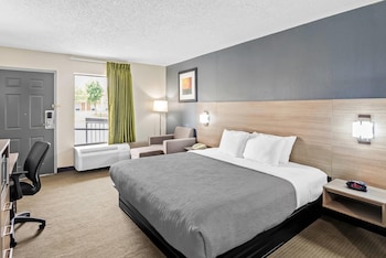 Room, 1 King Bed, Accessible, Non Smoking (Roll-In Shower)