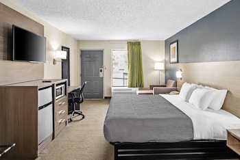 Room, 1 King Bed, Accessible, Non Smoking (Roll-In Shower)