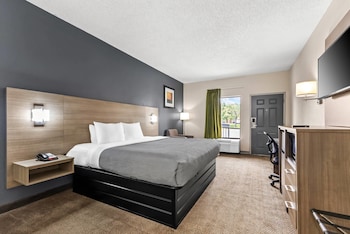 Suite, 1 King Bed, Smoking (Efficiency)