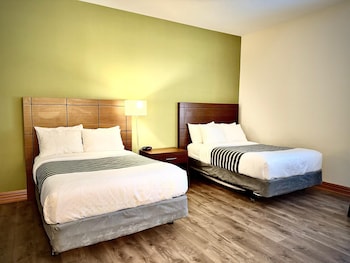 Standard Room, 2 Queen Beds, Non Smoking, Refrigerator