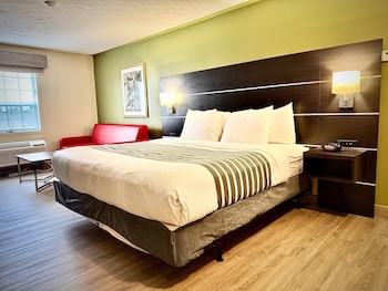 Standard Room, 1 King Bed, Non Smoking, Kitchenette