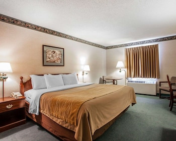 Standard Room, 1 King Bed, Non Smoking