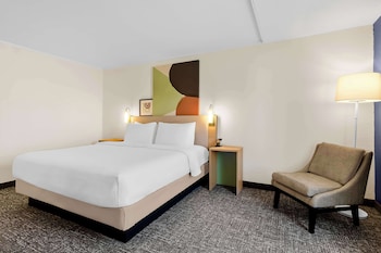 Room, 1 King Bed
