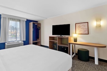 Room, 1 King Bed