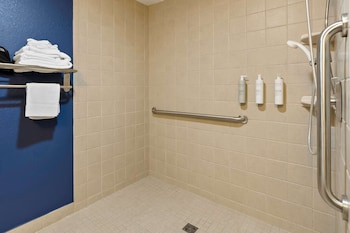 Room, 1 King Bed, Accessible (Roll-In Shower)