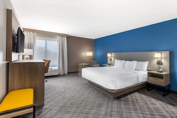 Room, 1 King Bed (Large)