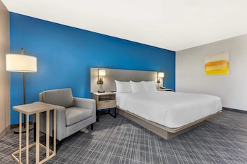 Room, 1 King Bed (Large)