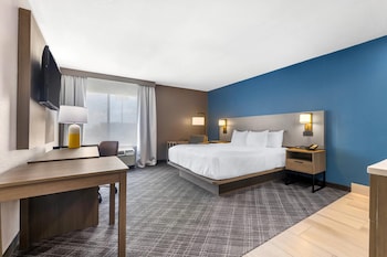 Room, 1 King Bed, Kitchenette