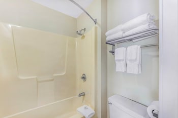 Room, 1 King Bed (1-Person Sofabed)
