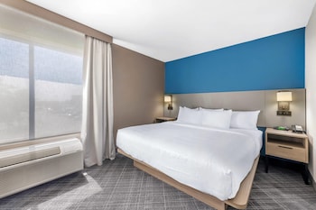 Room, 1 King Bed (1-Person Sofabed)