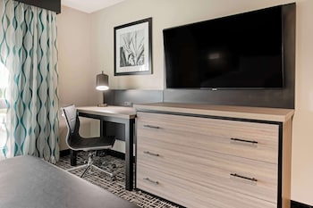 Suite, 1 King Bed, Non Smoking (with Sofabed)
