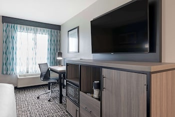 Standard Room, 1 King Bed, Non Smoking (with Sofabed)