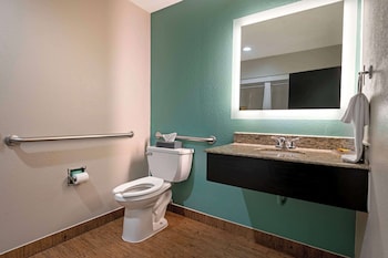 Standard Room, 1 King Bed, Accessible, Non Smoking
